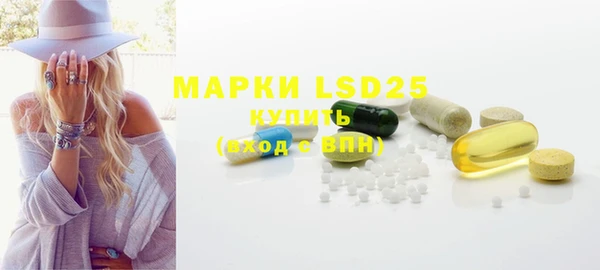 ECSTASY Богородицк
