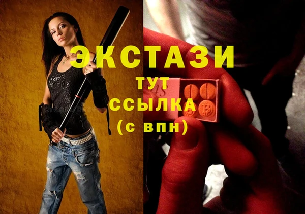 ECSTASY Богородицк