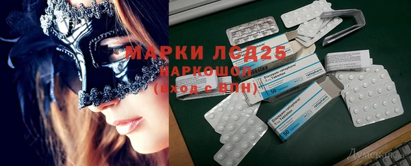 spice Ельня