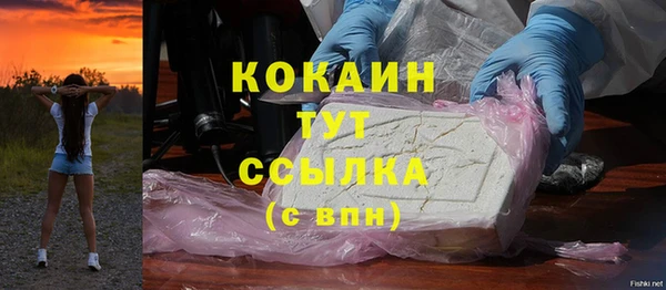 ECSTASY Богородицк