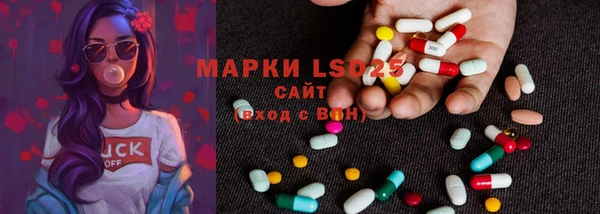 ECSTASY Богородицк